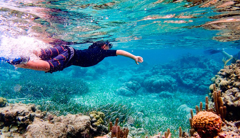 snorkel in cabo de palos